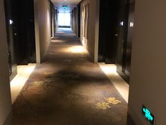 -成都保利公园皇冠假日酒店(熊猫基地店)