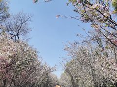 -昆明动物园