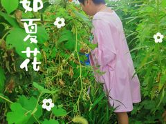 -阿林有机农庄