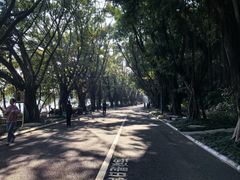 -南宁南湖公园