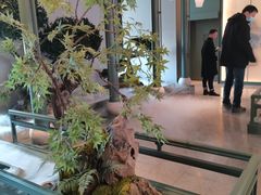 -潮上潮(南中环店)