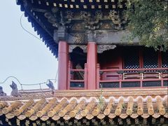 -沈阳市东陵公园