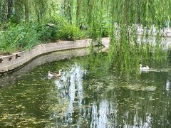 -莲花池公园