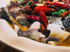 -丹江渔村(望京店)