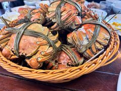 -蟹村草堂·苏式园林人文农家·大闸蟹