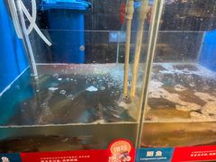 -鱼酷活鱼烤鱼(人信汇商场店)