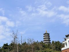 -湛山花园酒店-自助餐厅