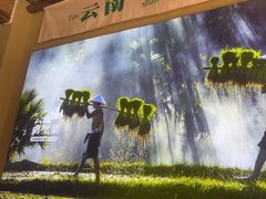 -七步香云南山里菜(昆明老街店)