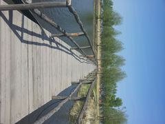 -白渔泡湿地公园