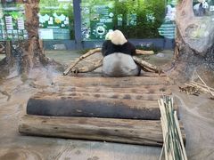 -海南热带野生动植物园