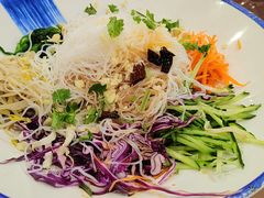 -邵年鸽(杨庄店)