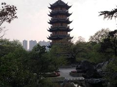 -红梅公园