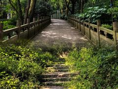 -杭州半山国家森林公园