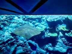 -香港海洋公园