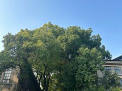 -南京晨光1865创意产业园