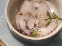 白灼小鱿鱼-沪碟·精菜坊(闵行店)