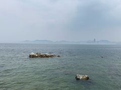 -养马岛旅游度假区