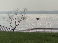 -贡湖湾湿地公园