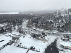 -长春市南湖公园