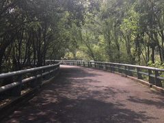 -西湖风景区-江洋畈生态公园