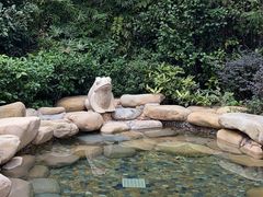 -天目湖涵田度假村