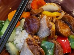 -Tangled Tree Tavern 老藤树食栈