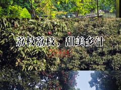 -月亮湾公园