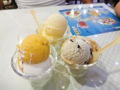 沙棘冰激凌-雪山晋乡楼(食品街店)