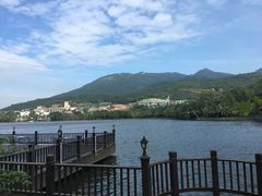 -三亚亚龙湾金棕榈度假酒店