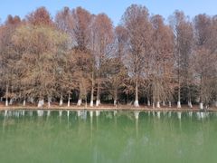 -苏州太湖国家湿地公园