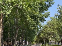 -河南工业大学(莲花街校区)