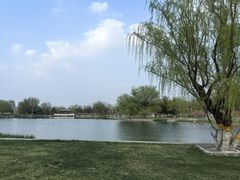 -西海子公园