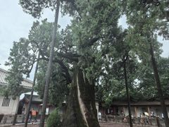 -黄帝陵