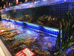 水产区-必点海鲜·鲅鱼水饺(鞍山西道店)