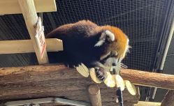 -Zoolung Zoolung动物主题公园(海信广场店)