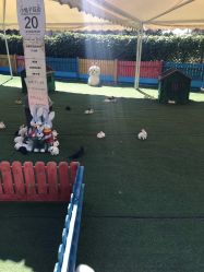 -萌宠亲子动物乐园(槐房万达店)