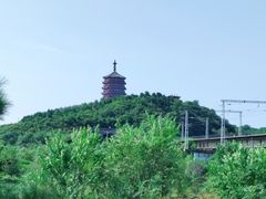-永定河休闲森林公园