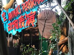 -长鹿旅游休博园