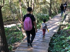 -白草畔自然风景区