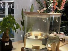 -TRACTION 运动中心(金融街店)