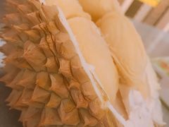 -都念榴莲·城市榴莲