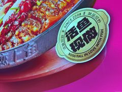 -老板恋上鱼(恒隆广场店)