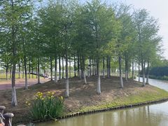 -春花秋色城市公园