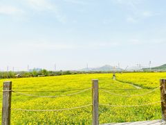 -西海岸生态观光园