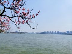 -无锡蠡湖国家湿地公园-蠡园