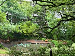 -香港大学