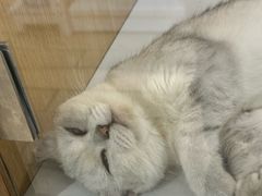 -美罗城