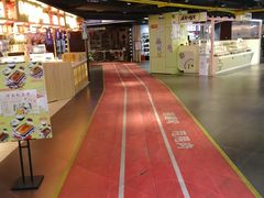 -鹏欣水游城