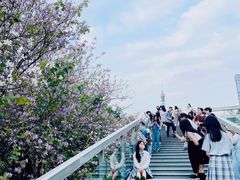 -南宁南湖公园