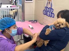 -北京观赏动物医院·24小时大型综合·猫专科·异宠专科